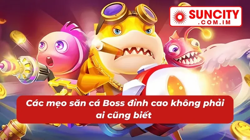 Bắn Cá Giao Đấu Online - Cuộc Chiến Căng Não Dưới Biển Cả Tại Suncity 6 Chiến thuật chơi bắn cá Giao Đấu tích xu lớn