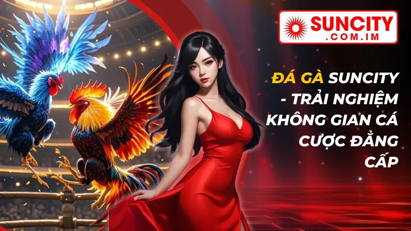 Đá Gà SUNCITY - Trải Nghiệm Không Gian Cá Cược Đẳng Cấp 2 Đá Gà SUNCITY
