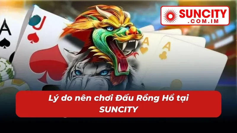 Đấu Rồng Hổ – Nổ Hũ Đỉnh Cao Dành Cho Cược Thủ SUNCITY 5 Sức hút khó cưỡng của game nổ hũ Đấu Rồng Hổ