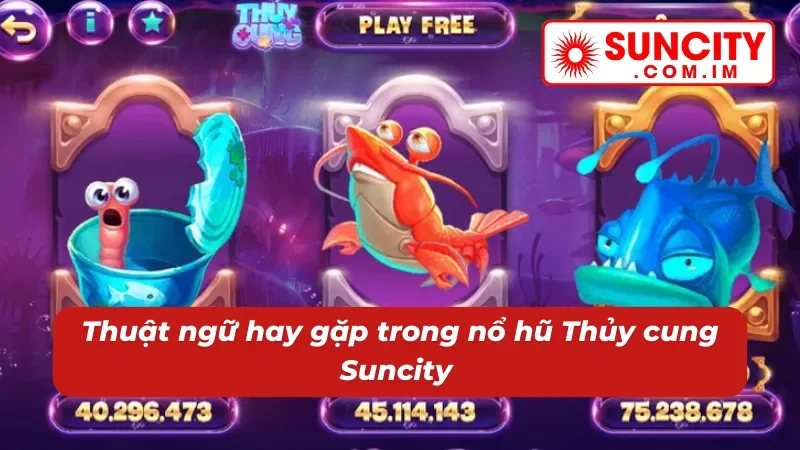 Nổ hũ Thủy Cung - Đắm Chìm Trong Kho Báu Jackpot Tại Suncity 4 Thuộc lòng các cụm từ hay gặp tại Nổ hũ Thủy Cung