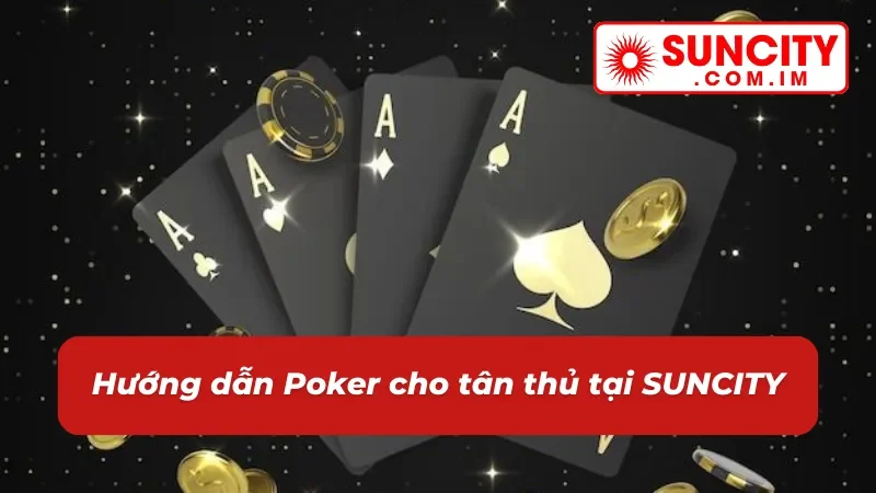 Poker: Game Casino Online Thể Hiện Bản Lĩnh Cược Thủ SUNCITY 3 Chỉ dẫn chơi Poker chi tiết cho cược thủ mới